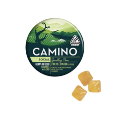 Camino Gummies 40mg THC, 120mg CBD 20 Ct