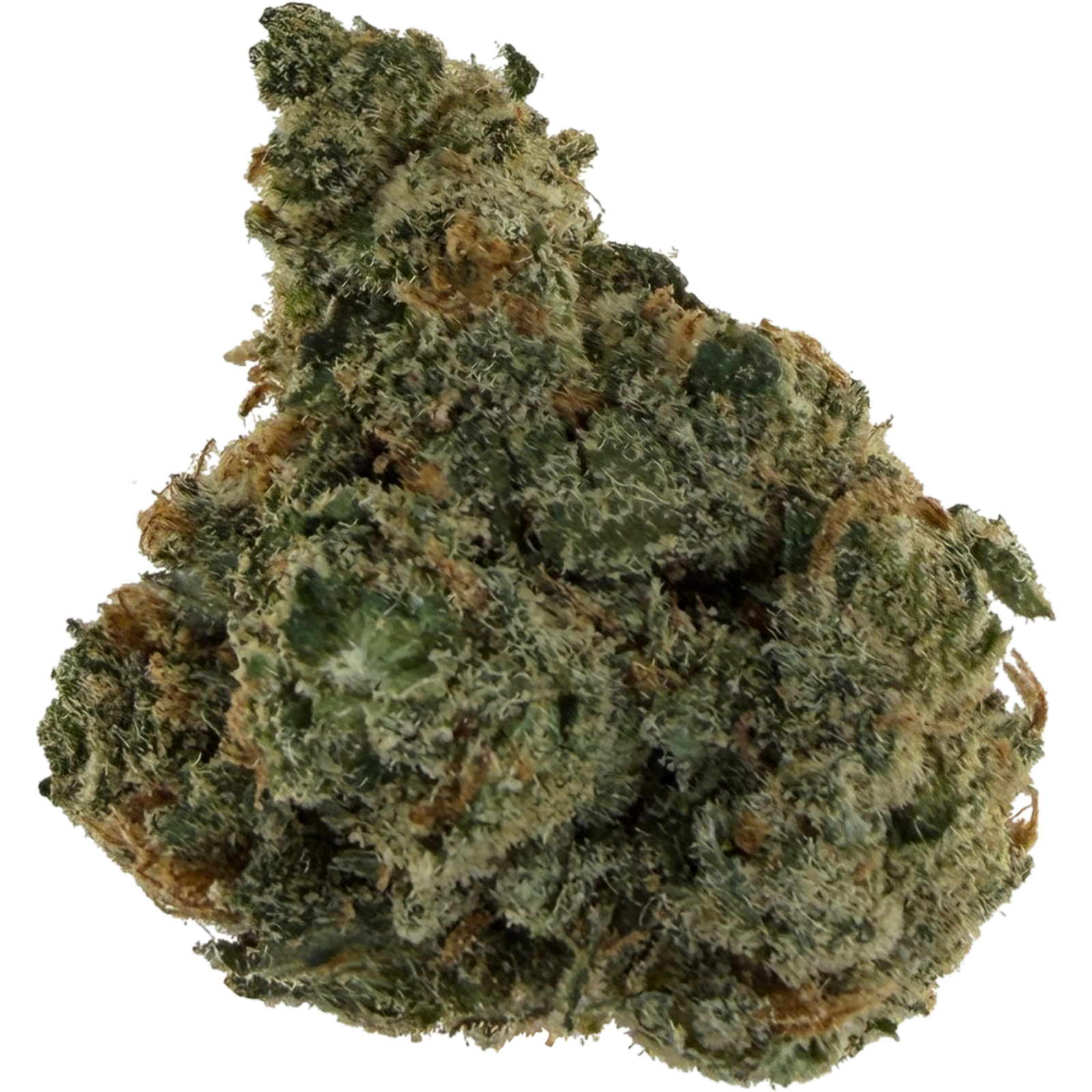 Jack Herer