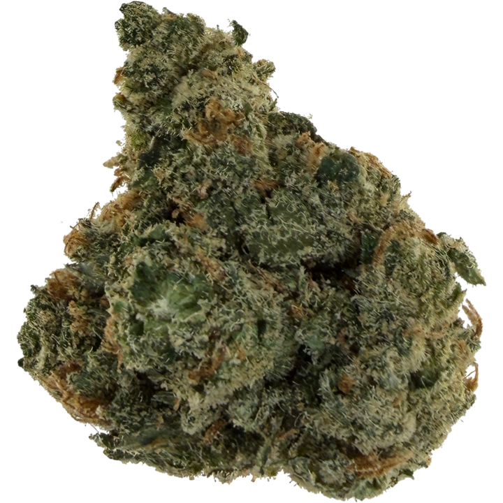 Jack Herer