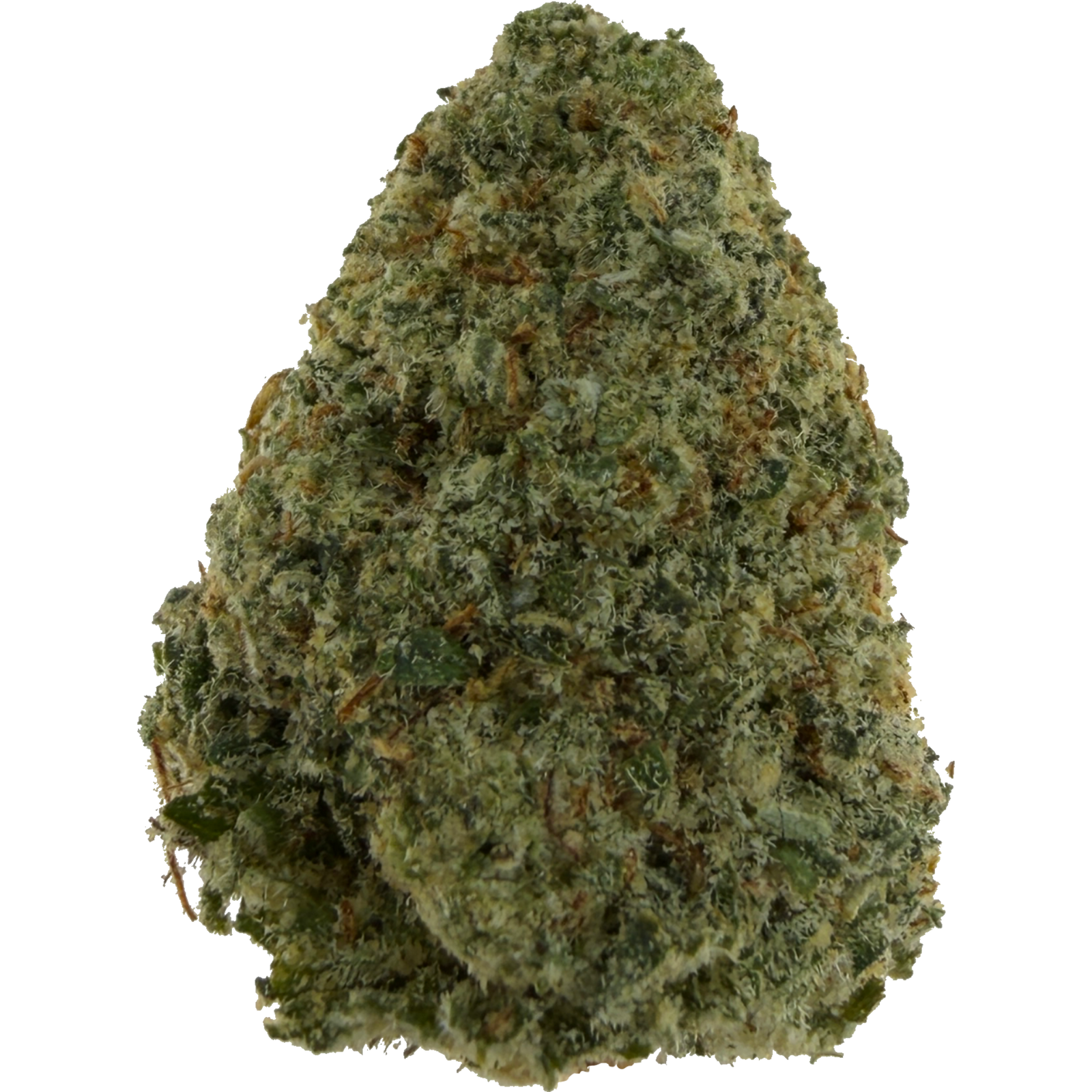 Papaya Punch